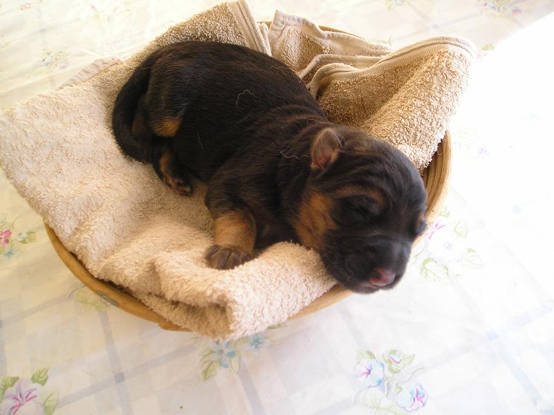 Argo, 12.2.2009
