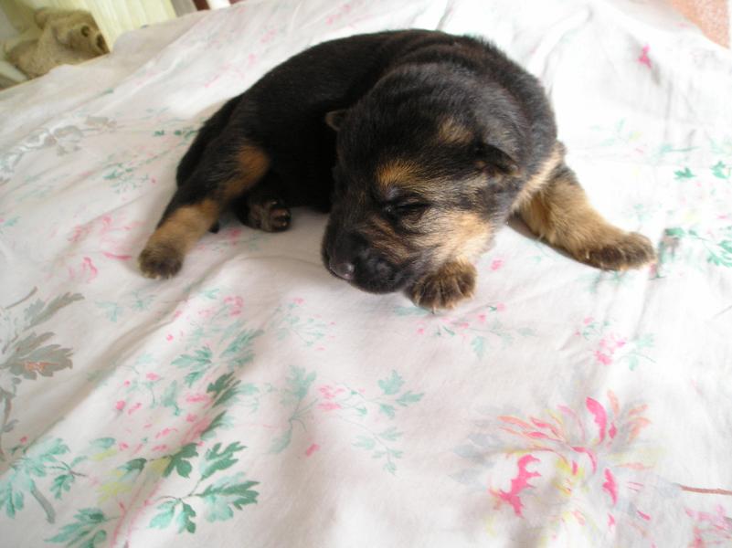 Argo, 19.2.2009