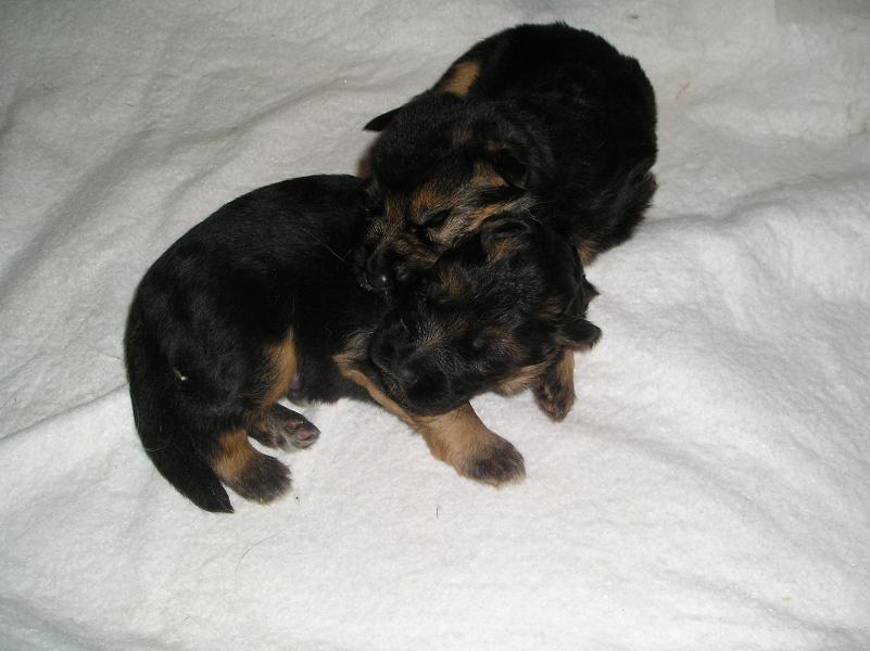 Argo, 24.2.2009