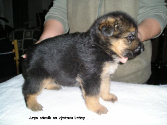 Argo, 7.3.2009