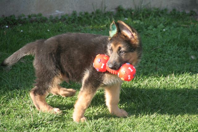 Argo, 4.7.2009