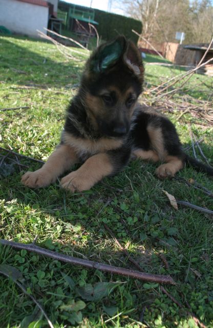 Argo, 4.7.2009
