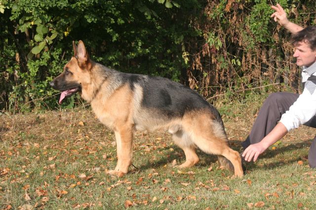 Argo, vystava Rokycany, 3.10.2009