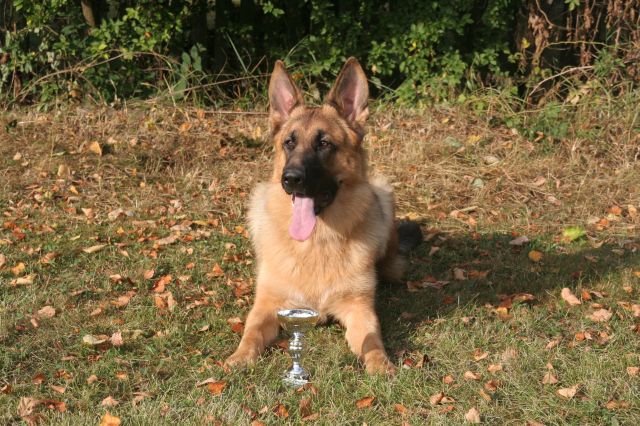 Argo, vystava Rokycany, 3.10.2009