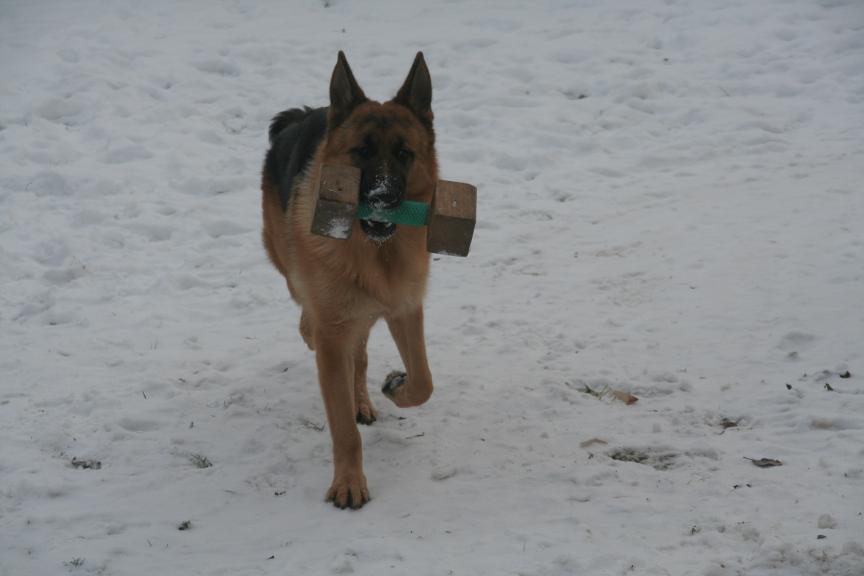Argo, zima