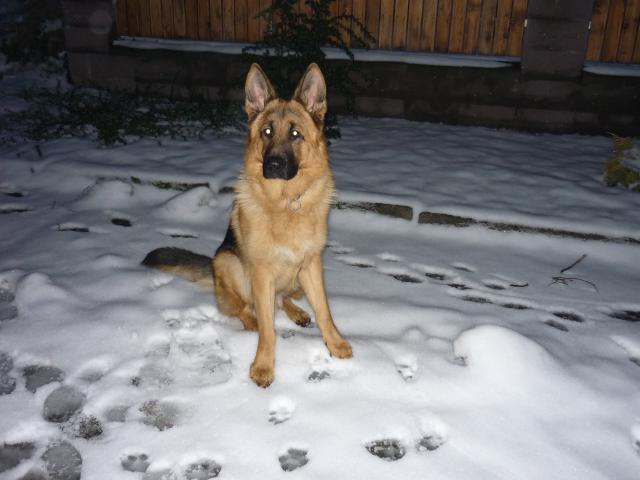 Argo, zima