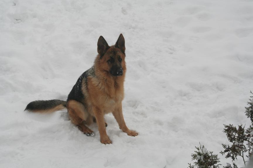 Argo, zima