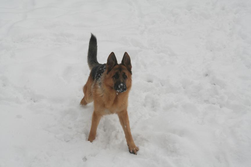 Argo, zima