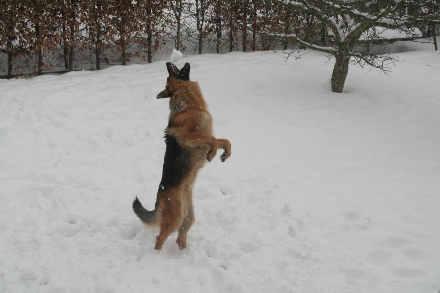 Argo, zima