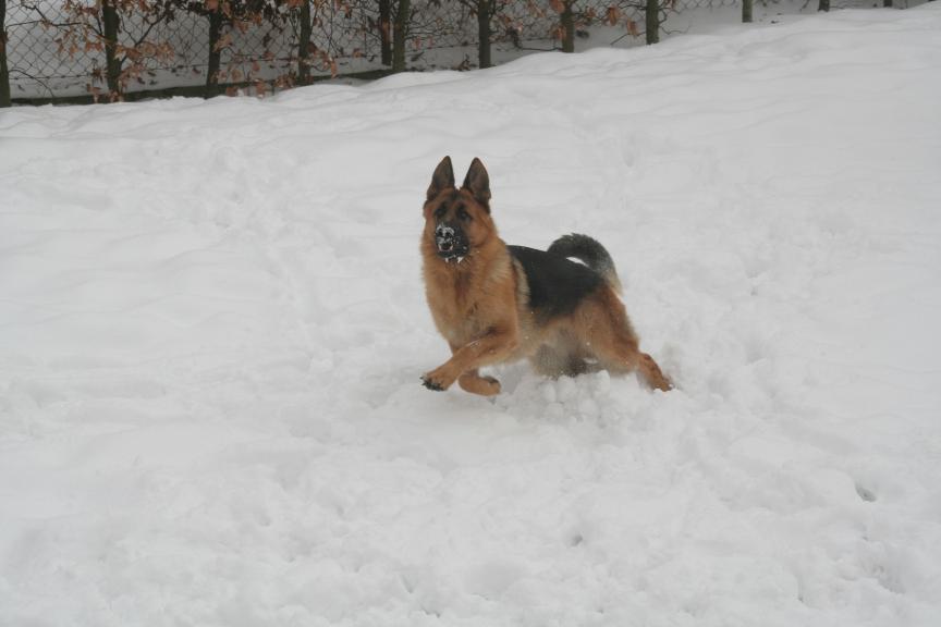 Argo, zima