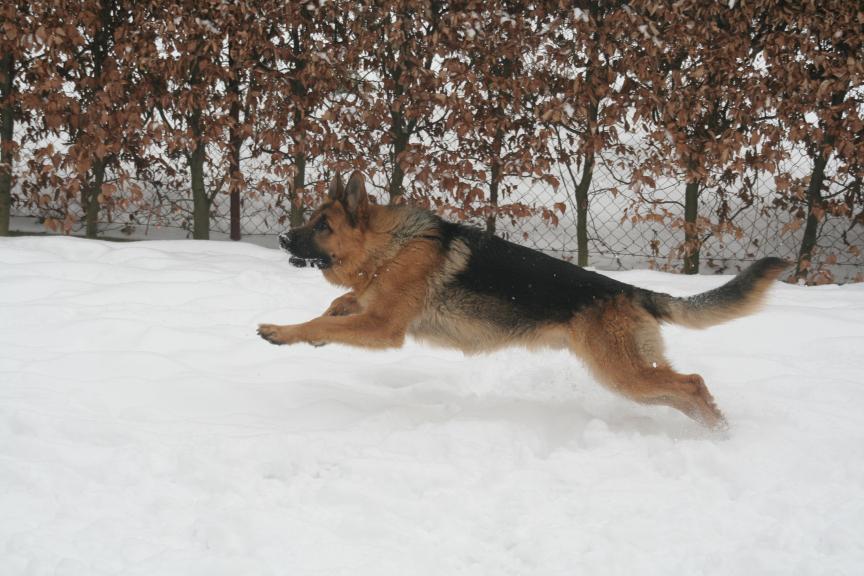 Argo, zima