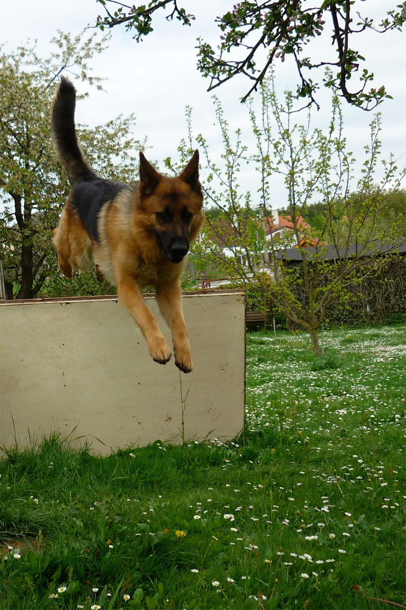 Argo, 8.5.2010