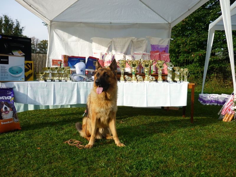 Argo, Rokycany 2010