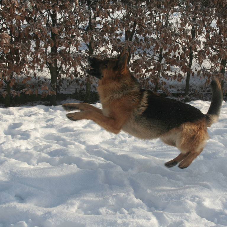 Argo, zima