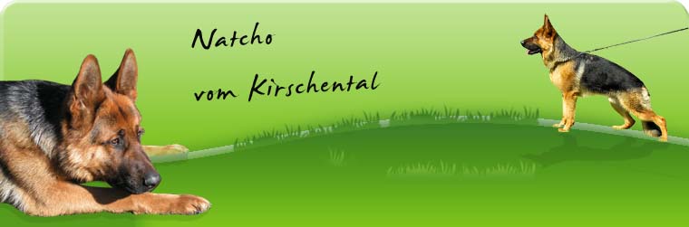 Natcho Vom Kirschental