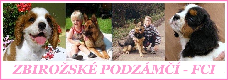 Zbirosk podzm