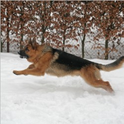 File_002.jpg